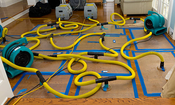Professional Structural Drying And Dehumidification technician working in Perry, MI